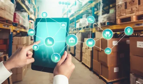 تكامل الأنظمة والبرمجيات